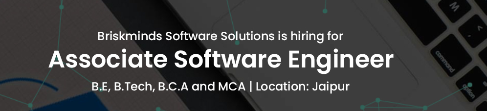 Briskminds Software Solutions Pvt. Ltd.