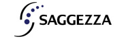 Saggezza India Pvt Ltd