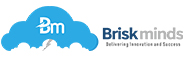 Briskminds Software Solutions Pvt. Ltd.
